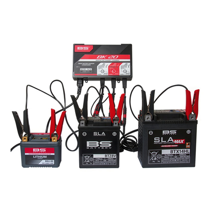 BS BATTERY CHARGER BK20 - 3